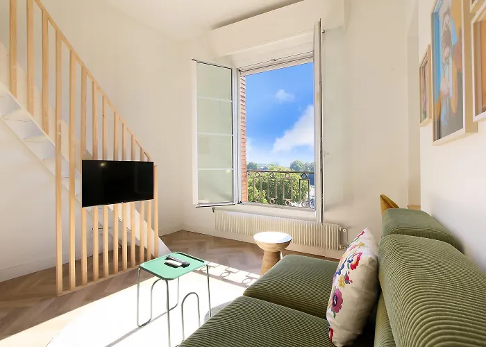 Vue Imprenable Et Charme Historique A * Tuluza